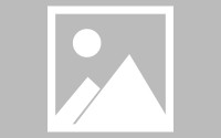 官方通报网红白虎小孬意外离世：饲养员违规操作致两虎发生打斗